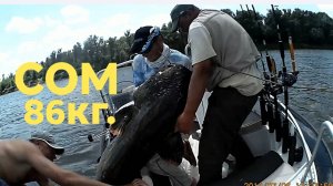 Сом 86кг. 2.4 метра. Дон 2013год.