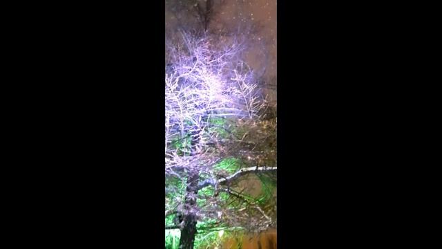 ЗИМНЯЯ СКАЗКА