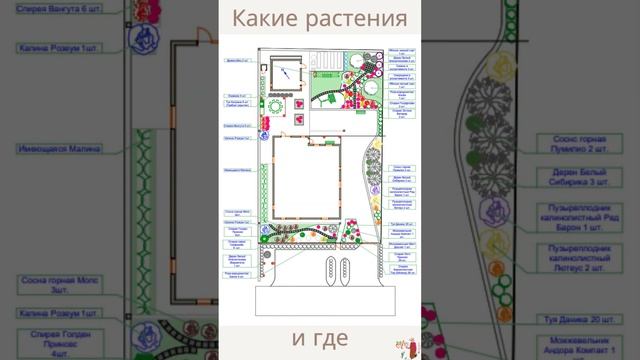 Что такое дендроплан?  #ландшафтныйдизайн #ландшафтныйдизайнучастка #садмечты #уфа