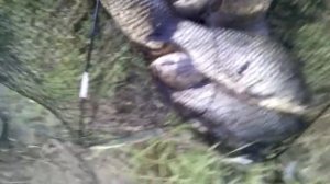 Херсон остров