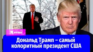 Одержим причёской и пьёт диетическую колу: факты о Дональде Трампе