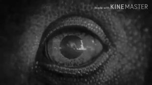 Had Enough (Breaking Benjamin) (A Dinosaur Tribute)