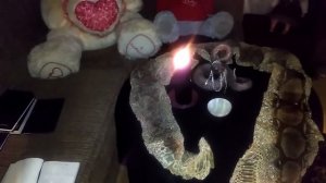 ТРОПОЙ ЗМЕИ... ВЫХОД ИЗ ТРУДНОЙ СИТУАЦИИ... РИТУАЛ ДЛЯ ВСЕХ. ВЕДЬМИНА ИЗБА. ИНГА ХОСРОЕВА.