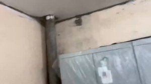 Покрасил весь гараж дорожной краской спринтер, посмотрим насколько ее хватит #гараж #краска #ремонт