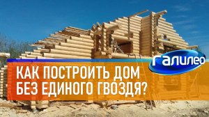 Галилео | Как построить деревянный дом без единого гвоздя?