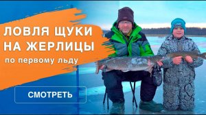 Ловля щуки на жерлицы | Перволедье 2024/2025 | Зимняя рыбалка