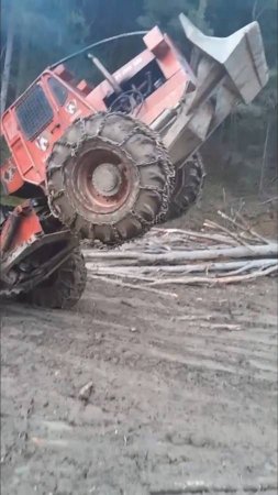Красный монстр на лесозаготовке