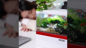 Mini Fish Tank