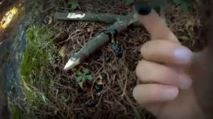 ЧЕРНАЯ МЕССА ФИЛЬМ 2021 СМОТРЕТЬ ОНЛАЙН В ХОРОШЕМ КАЧЕСТВЕ ПОЛНОСТЬЮ