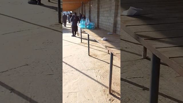 Цены на сыр, творого, сметана. смотреть онлайн