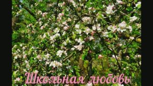 Песня "Школьная любовь"