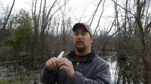 SN 04 Snow goose call for snow and blue geese