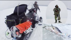 Рыбалка. Воткинское водохранилище г. Оса Пермский край.