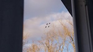 Русские витязи