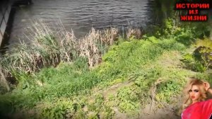 СЫНОК ПОЛУЧИЛ СЕГОДНЯ ТО О ЧЕМ МЕЧТАЛ - Аудио Рассказ