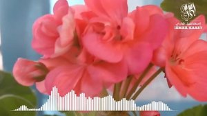 СУРА КАХФ СЛУШАЙТЕ ИЛИ ЧИТАЙТЕ КАЖДУЮ ПЯТНИЦУ#суракахф