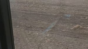 Подготовка к посевной. Боронование. Лен. Засадили трактора #16