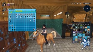 Покупка Американской верховой |Star Stable Online|