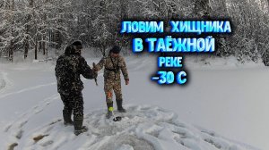 ✔ РАССТАВИЛИ ЖЕРЛИЦЫ на таёжной реке В МОРОЗ  -30