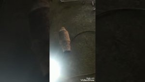 Хендай санта фе 2015 2.4  удаление катализаторов и чип тюнинг