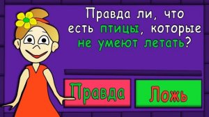 ТЕСТ ПРАВДА ИЛИ ЛОЖЬ _ ТЕСТЫ БАБУШКИ ШОШО