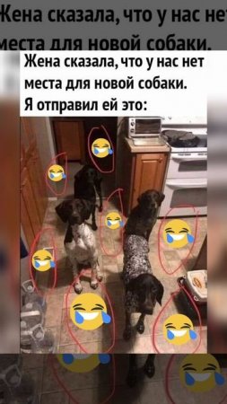 юмор 🤣