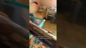 Идея для поздравления с днём рождения