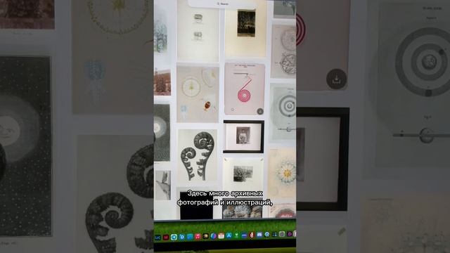 Сервис с бесплатными архивными иллюстрациями public.work