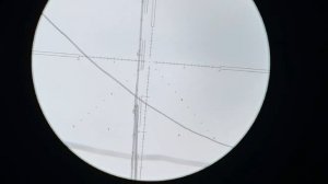 Veyron 6-24x44 FFP IR by Vector Optics