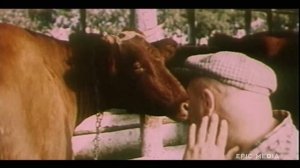 ЖЕНСКИЕ ОБЯЗАННОСТИ ДЕЛО НЕХИТРОЕ? - ПРОЩАЙТЕ, ФАРАОНЫ! - Советская комедия
