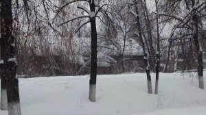 Аркуль зимой, идём к затону, 11 января