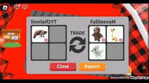 трейды на R гигантского муравьеда в Адопт Ми Adopt Me #Adoptme @Im_Life_Game