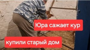 87//Купили старый дом. Больше про это не буду говорить и показывать. Юра учит кур садиться.