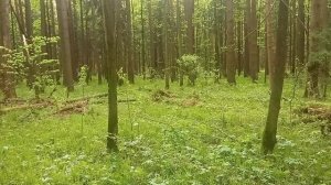 Памятка начинающему туристу. "ответственность" руководителя похода