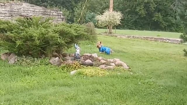 1091. Эстония. Жизнь на хуторе.#слюбовьюизэстонии #жизньвэстонии #Novatinafilm #vlog