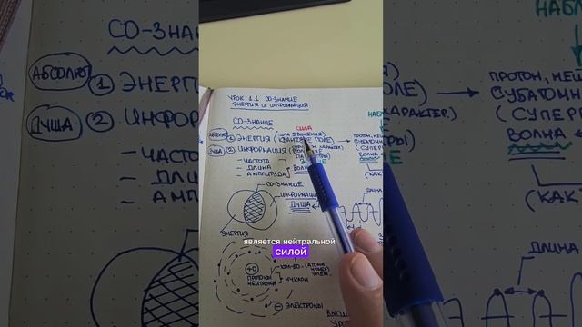 УРОК 1.1. (ОТРЫВОК) Модуль-Курс "Инструкция к Реальности".