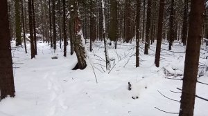 Почему не следует использовать сталеварские "суконки"