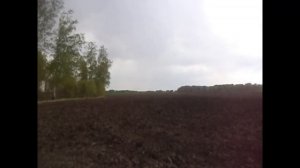 Отсев 25 мая.