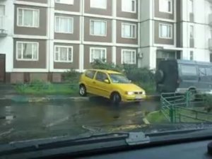 Так паркуются блондинки!😂