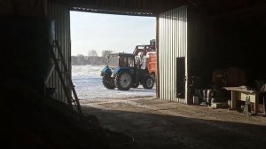 Отгрузка зерна, закрываем долги перед НГ. №47