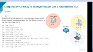 Вебинар: Настройка DHCP-сервера, DHCP relay и DHCP local relay на коммутаторах D-Link