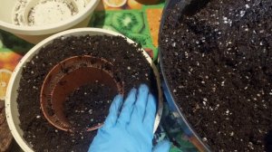 Таблетензия просыпается.Пересаживаем и говорим о полуфабрикатах.20.01.25