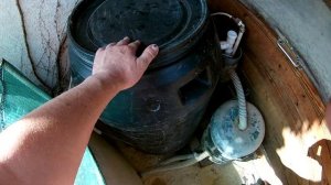 Запустил УЗВ во дворе. Клариевый сом.