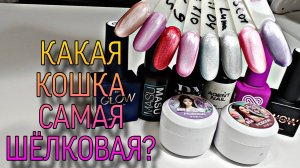 Какая шёлковая кошка самая шёлковая?