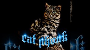 CAT PHONK