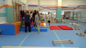 Спортивная гимнастика