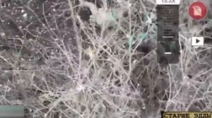 Хохол предпринял  попытку отбить утраченные ранее позиции в районе населенного пункта Колодези