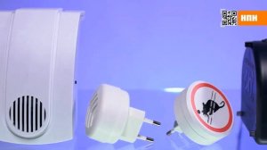 Громкий ультразвук. Но человек его не слышит