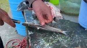 Донская селёдка! Быстрый посол!