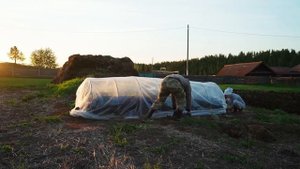 ДЕРЕВЕНСКОЕ УТРО | ЖИЗНЬ ВДАЛИ ОТ ЦИВИЛИЗАЦИИ | ОГОРОД | СОСЕДИ | ЗАНОСИМ ПЕЧЬ В БАНЮ